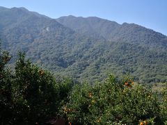 -福清灵石山国家森林公园