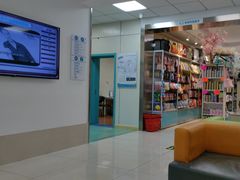 -北京观赏动物医院·24小时大型综合·猫专科·异宠专科