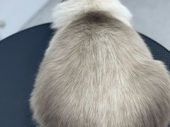 -comecome来吧宠物(奥克斯中心店)