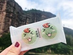 -江西龙虎山景区