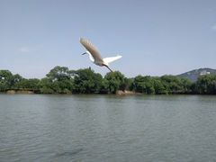 -长兴太湖图影湿地文化园