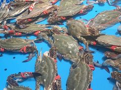 -渔港甄宴·海鲜·地标烟台菜(金沙滩店)