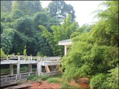 -竹野·上|老字号全竹宴