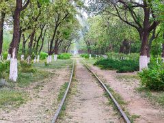 -永定河休闲森林公园