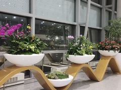 -樊记腊汁肉(西安咸阳国际机场店)