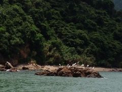 iphone_upload_pic-大澳