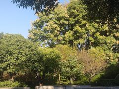 -杭州城北体育公园