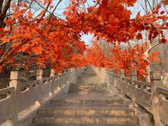 -抱犊寨风景区