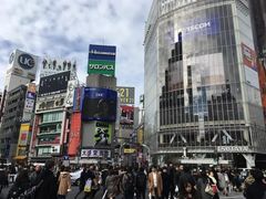 -涩谷区