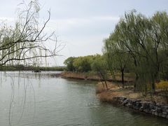 -大兴滨河森林公园