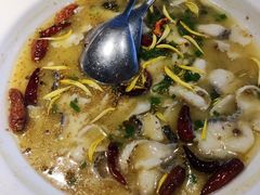 -茅庐毛血旺(烟台大悦城店)