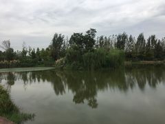 -白鹭湾湿地公园