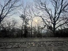 -紫金山山顶公园