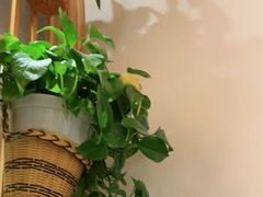 -管氏翅吧(国展店)