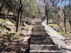 -北京十三陵国家森林公园蟒山景区
