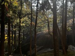 -玉苍山国家森林公园