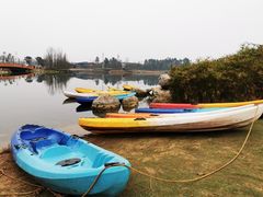 -三圣花乡旅游区