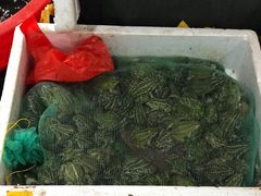 -长兴慧子土特产茶行