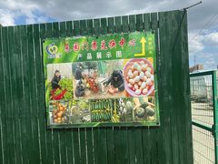 -菊园百果园