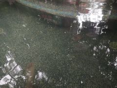 -海口观澜湖火山温泉谷
