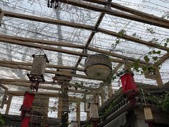-丽江庭院·云南野生菌·海鲜火锅(鼓楼四合院店)