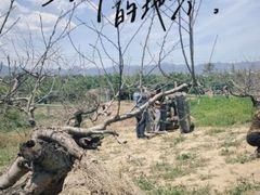 -亲兄弟真人CS团建拓展基地