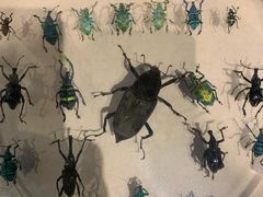 -陕西自然博物馆