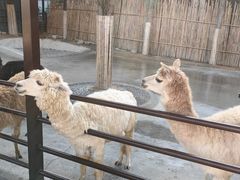 -杭州野生动物世界