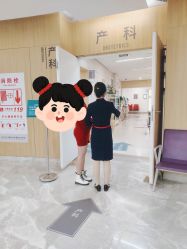 -天使医生VIP孕期孕检产检(市二医院店)