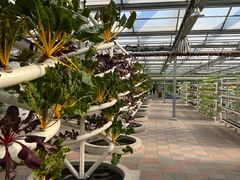 -兴芮温泉度假区