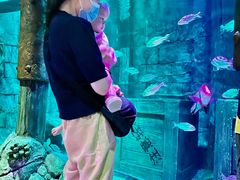 -沈阳海洋探索中心