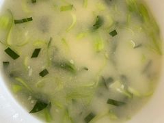 -丁老爷子苏香圆