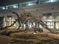 -自贡恐龙博物馆