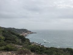 -广东惠东海龟国家级自然保护区