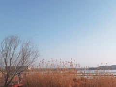 -宣城市博物馆