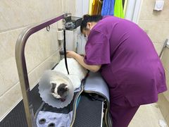 -美联众合动物医院·24h京西诊疗中心