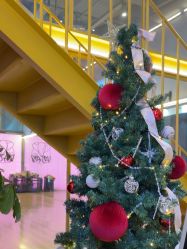 -YASAKI国际舞蹈中心