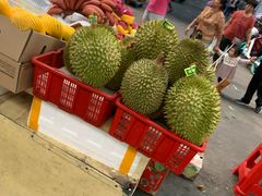 -三亚新鸿港水果一级批发市场