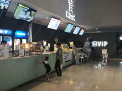 -汉阳天河电影城(王家湾店)