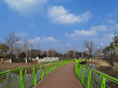 -金银湖国家城市湿地公园