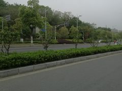 -菊花台公园