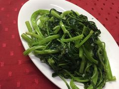 -蛇口康乐快餐鱼仔档(翠苑小区店)