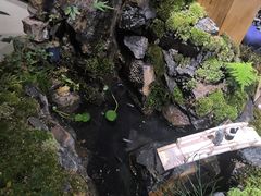 -瑞虹新天地月亮湾