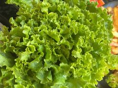 -四斤烤肉(东戴河孟家店)