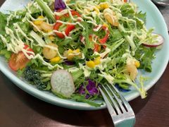 -食彩美印度特色美食餐厅·印度料理