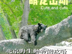 -北京野生动物园