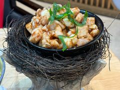 -丁老爷子苏香圆