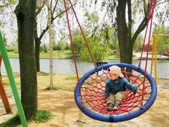 -羊亭河湿地公园