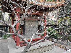 -碑林公园