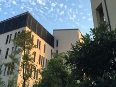 -上海崇明金茂凯悦酒店